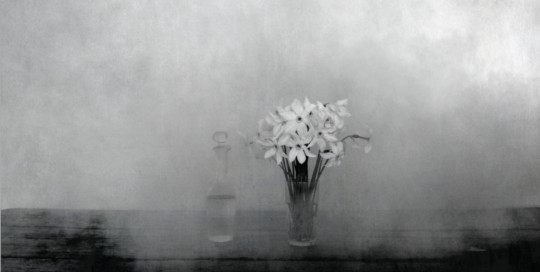 Vase aux Narcisses - Sur l'Épaule du Temps